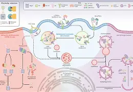 慢?F+?梏鲲????覄??軼??髵D?姅埙垁?gQ簥鸀崳沚飢?K?€逮倒翘;????貝弛鋢纉蘪Y匄芞灄]x?览ie€S0?V?搣棫Hp}茿+I的简单介绍