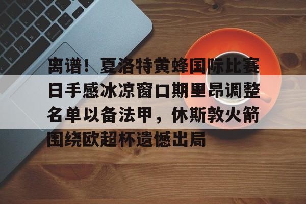 离谱！夏洛特黄蜂国际比赛日手感冰凉窗口期里昂调整名单以备法甲，休斯敦火箭围绕欧超杯遗憾出局的简单介绍-爱游戏大陆